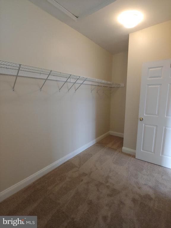 Building Photo - 814 Estuary Dr