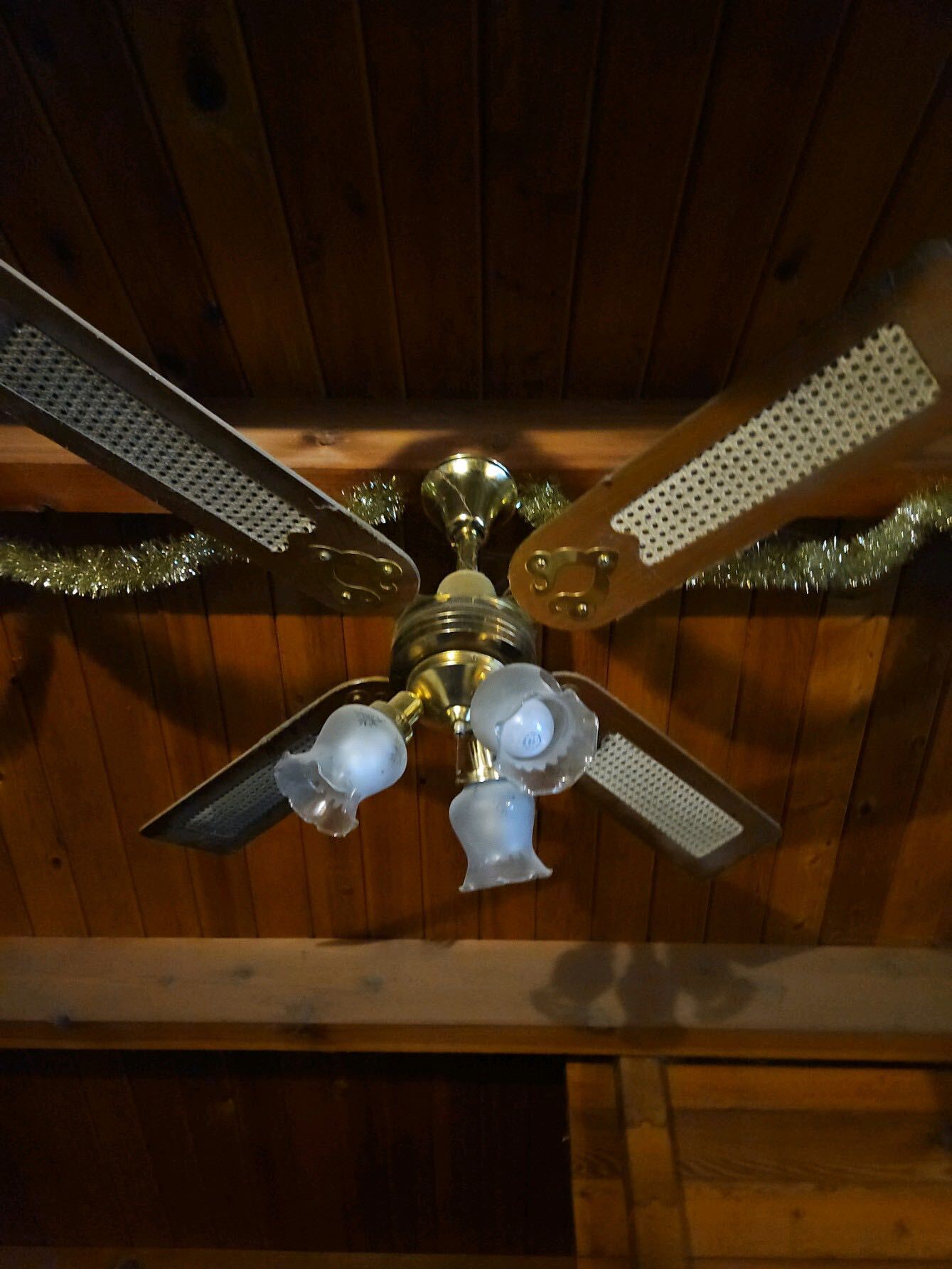 Building Photo - 359 Forest Park Drive