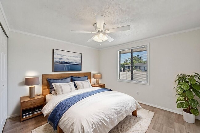 Building Photo - Clubside Apartment Homes