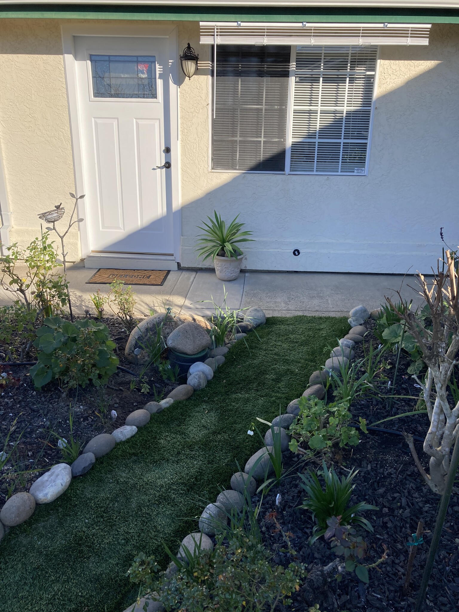 View from garden to studio’s entry door - 2205 Eagle Dr