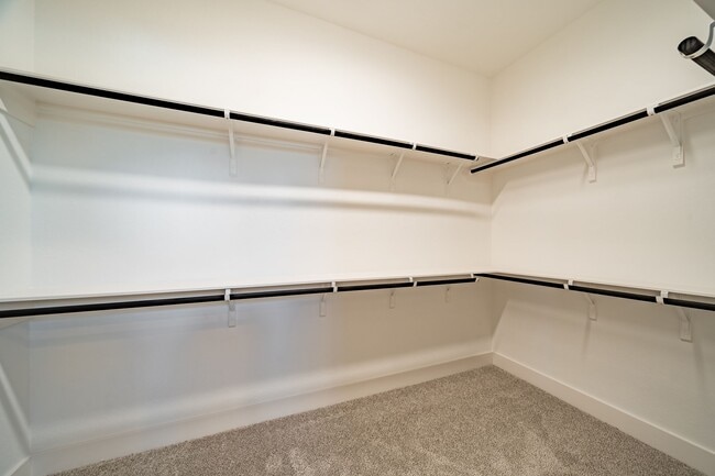 Building Photo - 10916 Brambling Wood Dr