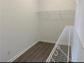 Building Photo - 845 Green Sapling Trl