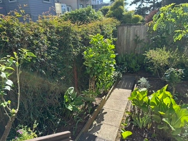Building Photo - Epic REA- Serene 2 BR/1 BA Flat w/Private Deck & Yard in Lone Mountain