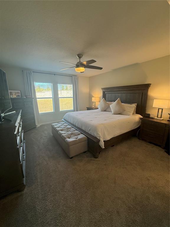 Building Photo - 4773 Magnetite Lp