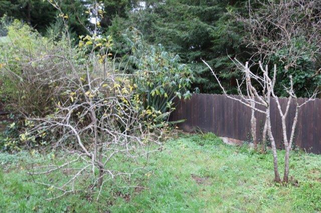 Building Photo - Near Sequoia Zoo and Park, Cozy 2/1 with l...