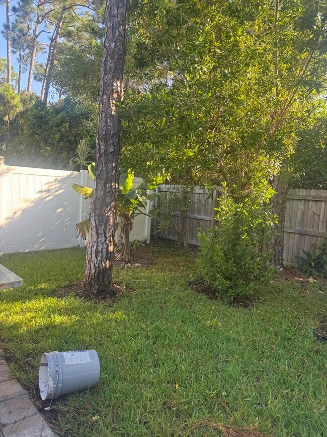 Building Photo - 2468 Timber Forest Dr