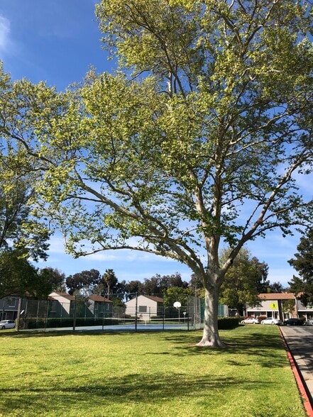 community - 3555 Northwood Dr