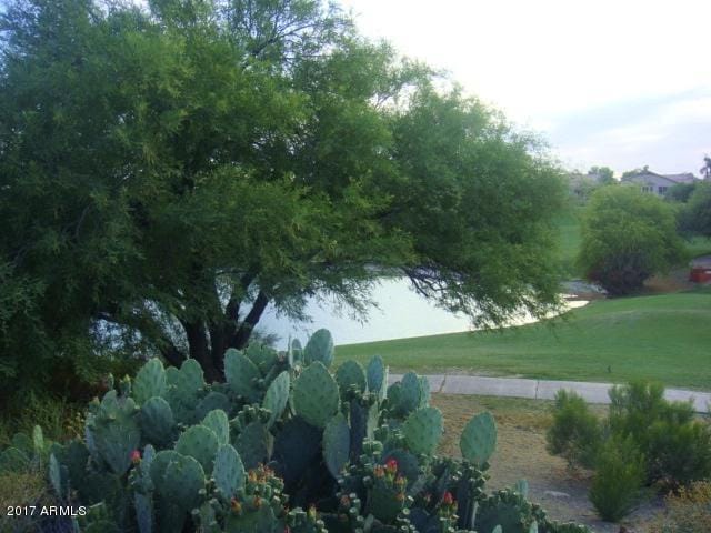 Building Photo - 11554 W Mohave Ct