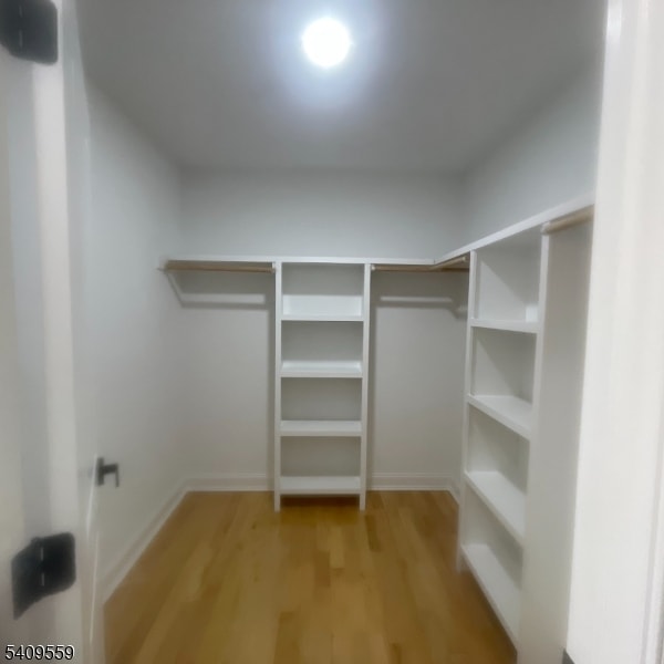 Building Photo - 1297 Avy St