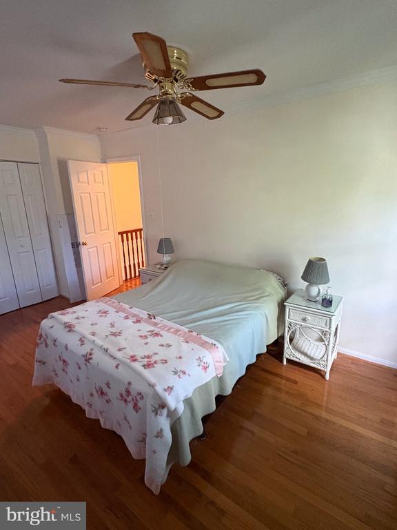 Building Photo - 6602 Deer Gap Ct