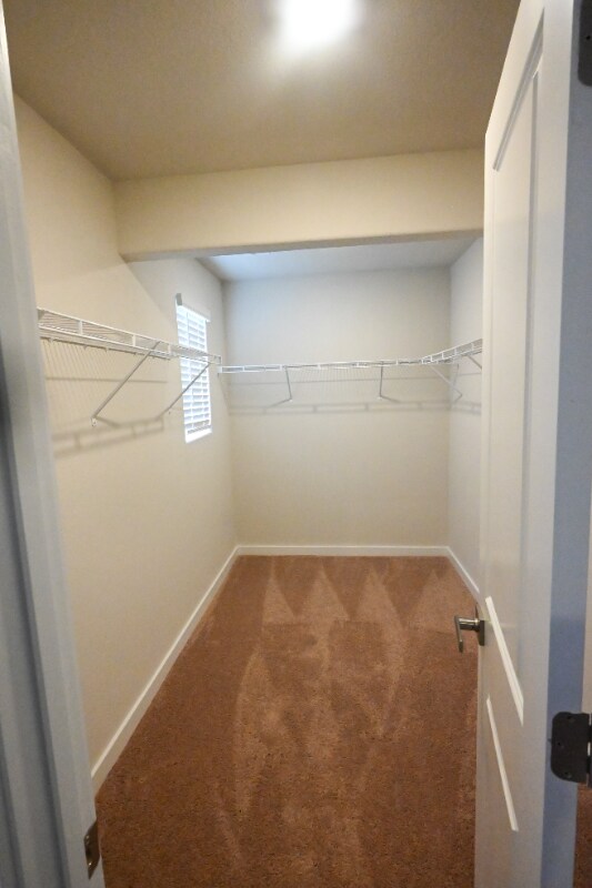 Building Photo - 1031 Peaceful Fawn Dr