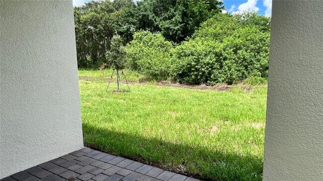 Building Photo - 2291 Mossy Vine Ave