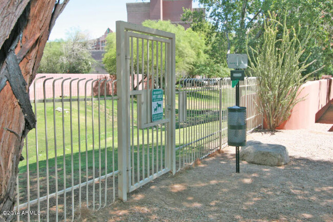 Anasazi Pet Door Exit (not our view) - 4303 E Cactus Rd