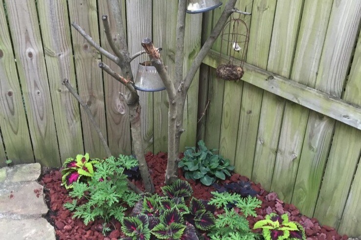 Patio Plants - 411 N Monroe St