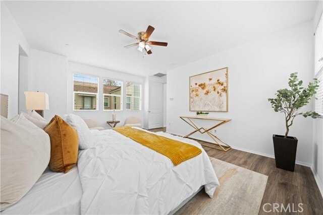 Building Photo - 145 Mongoose