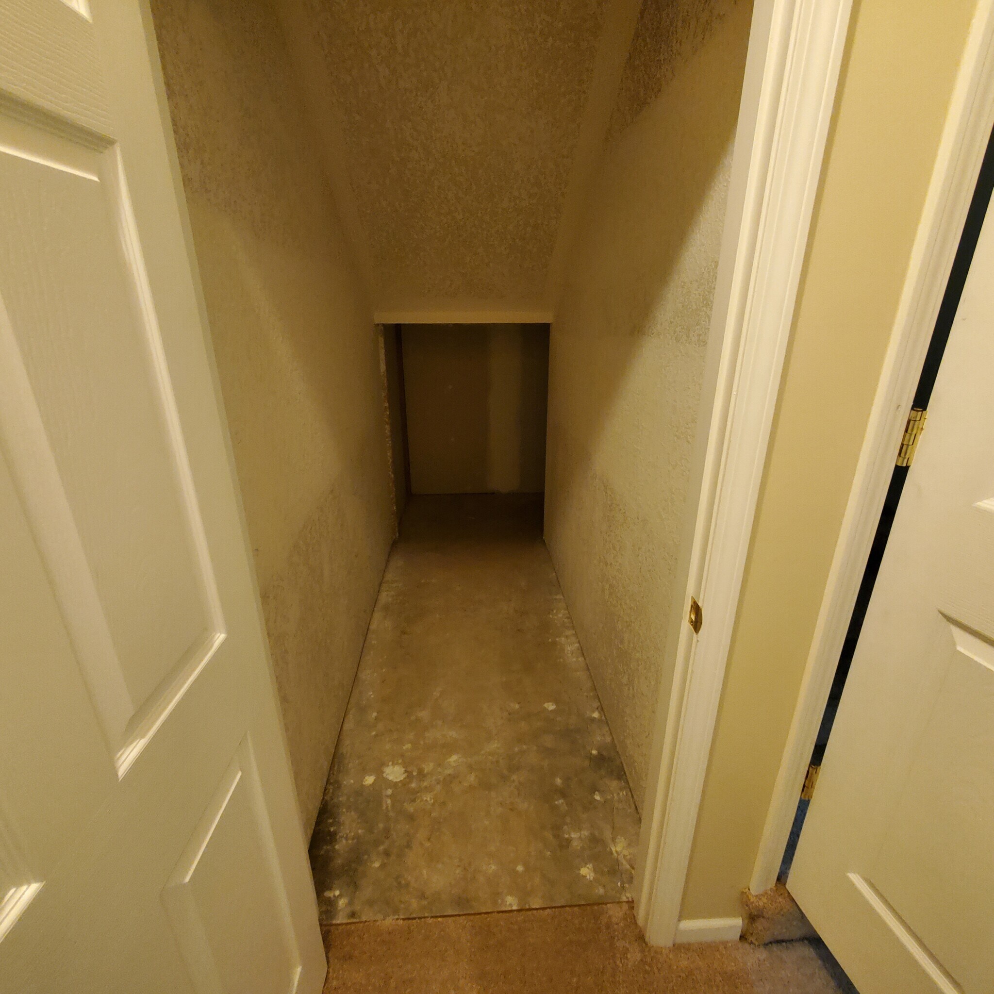 Basement Storage #2 - 5330 Godas Cir