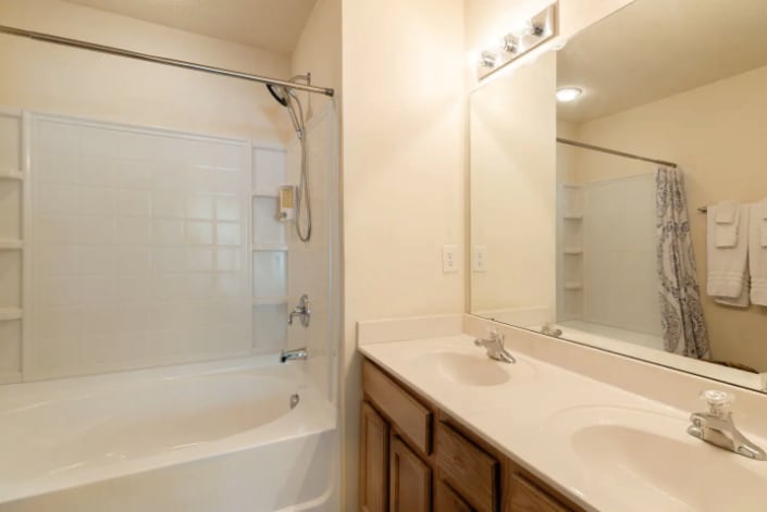 Master Bathroom - 10625 Prairie Ridge Ln