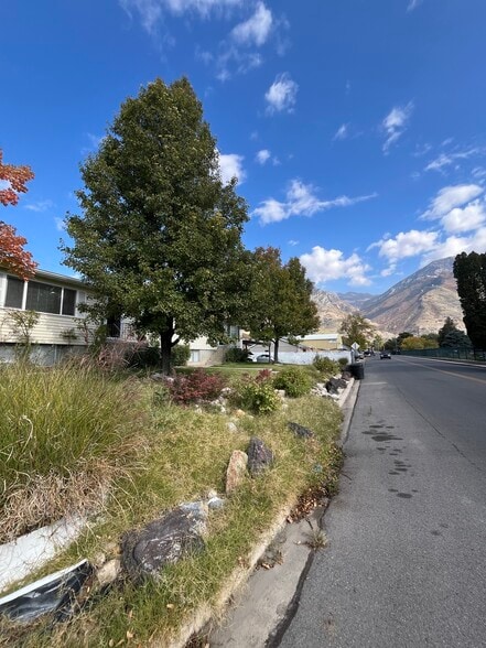 Front Yard - 723 E 600 S