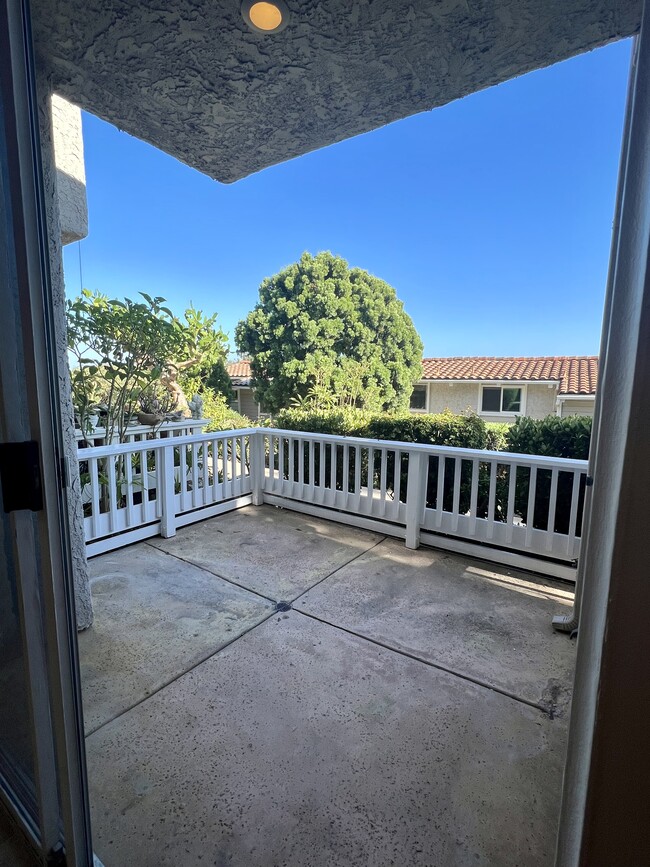 Downstairs patio - 28204 Rey de Copas Ln