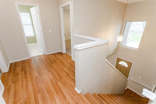 Building Photo - 1308 Dundee Dr