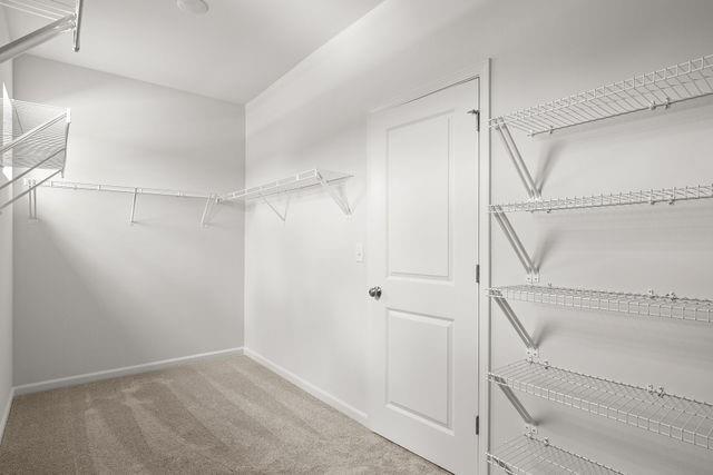 Building Photo - 712 Hedwig Dr
