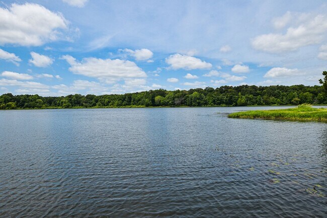 Building Photo - Coming Soon! 3 Bedroom Home On Lake Tyler!