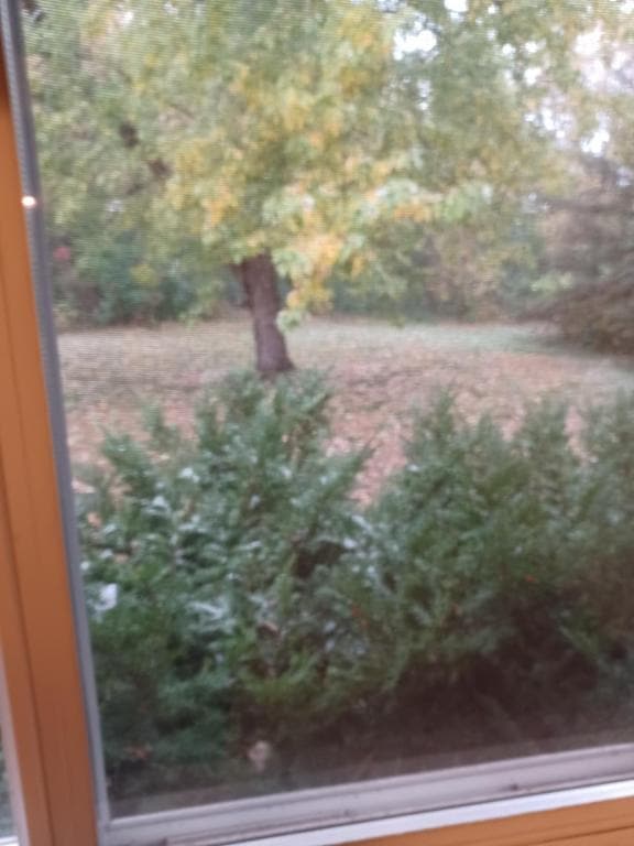 Building Photo - 11840 26th Ave