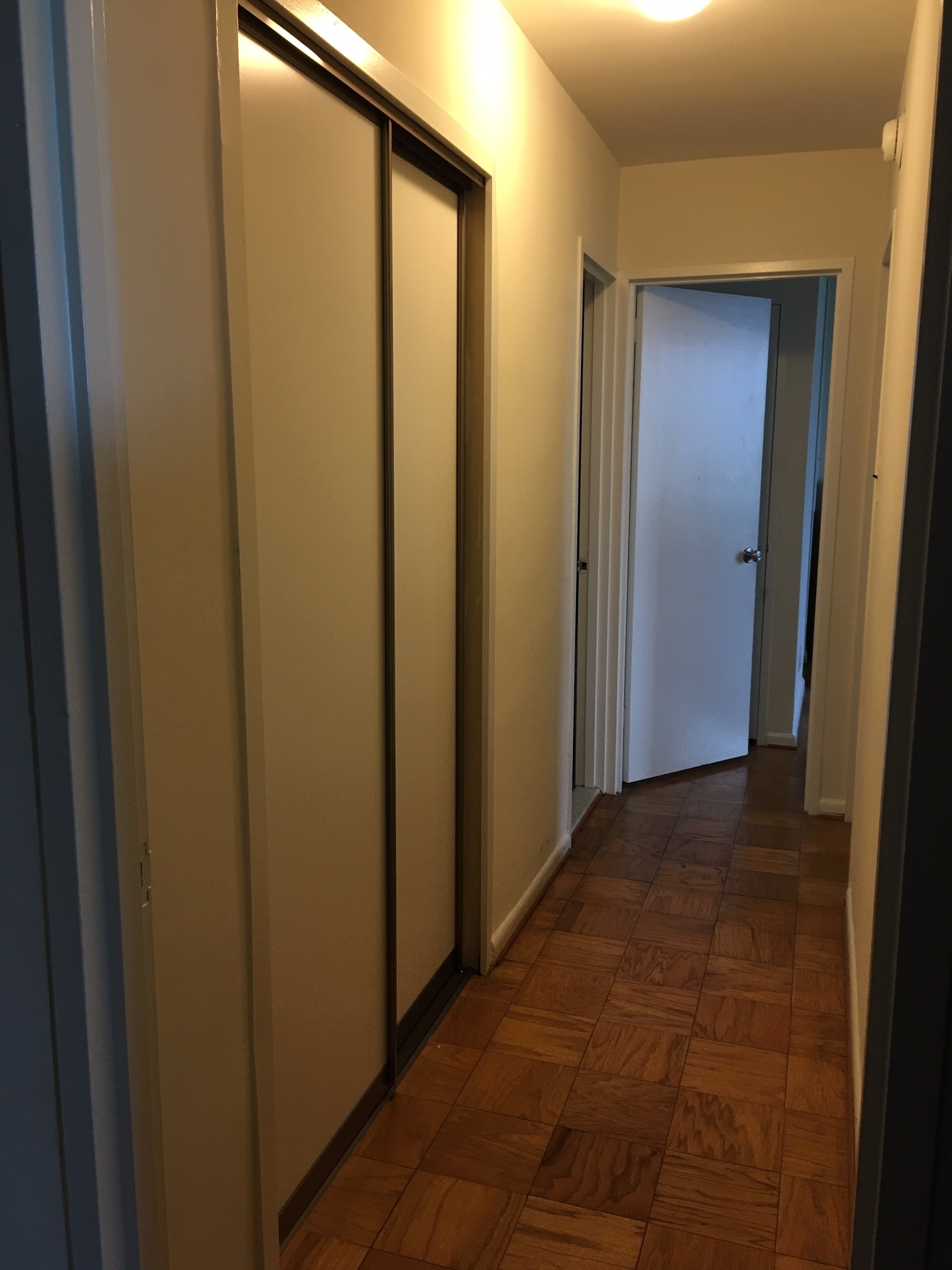 Hallway to bedroom with new custom made european sliding doors - 5101 River Rd