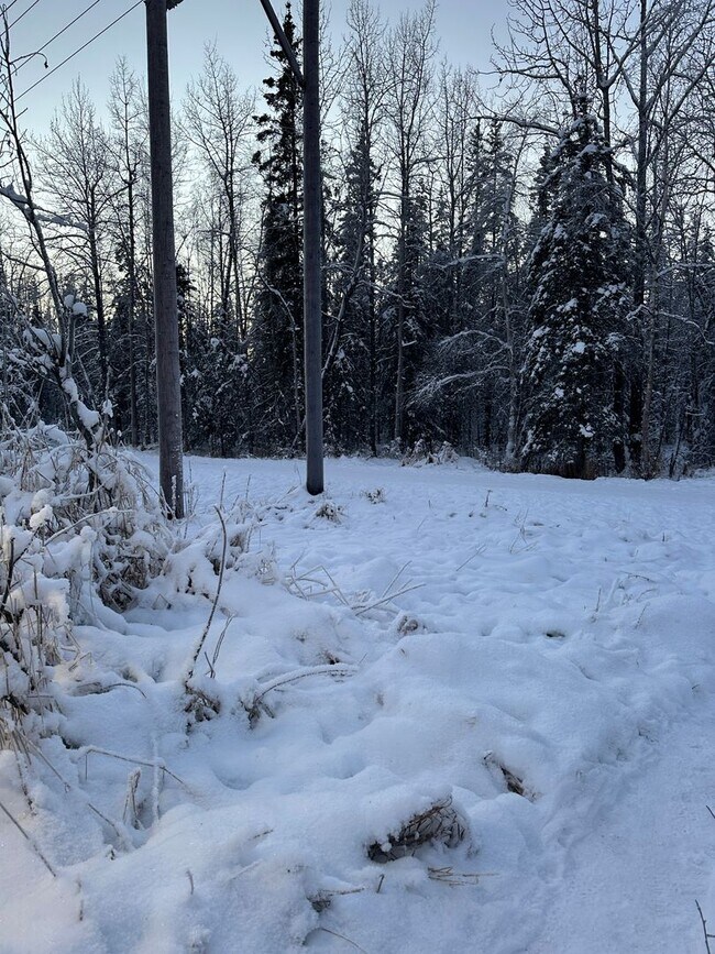 Building Photo - Newly Remodeled, 1 Bed/1 Bath Garage/Washer/Dryer