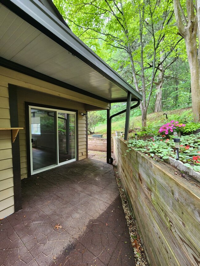 Building Photo - Black Mountain Rental!
