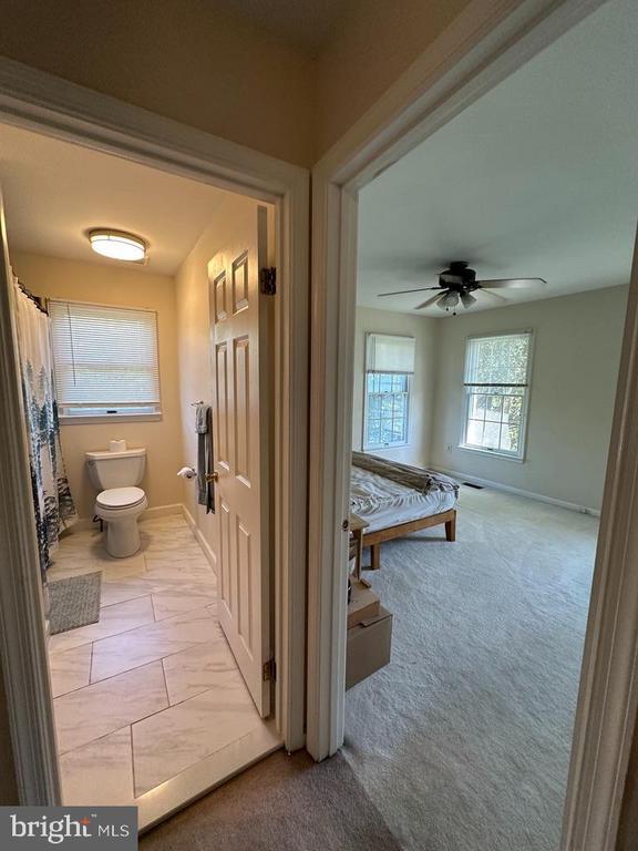 Building Photo - 893 Broad Oaks Dr