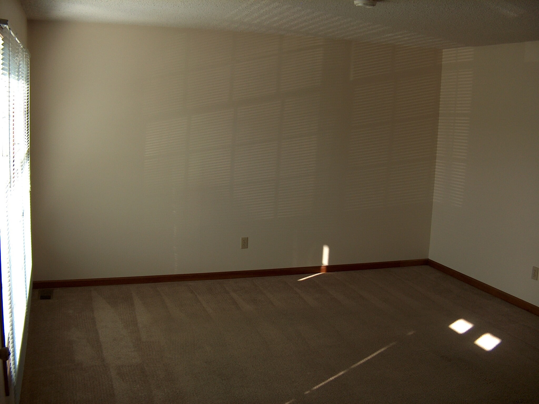 Large living room - 807 E Franklin St