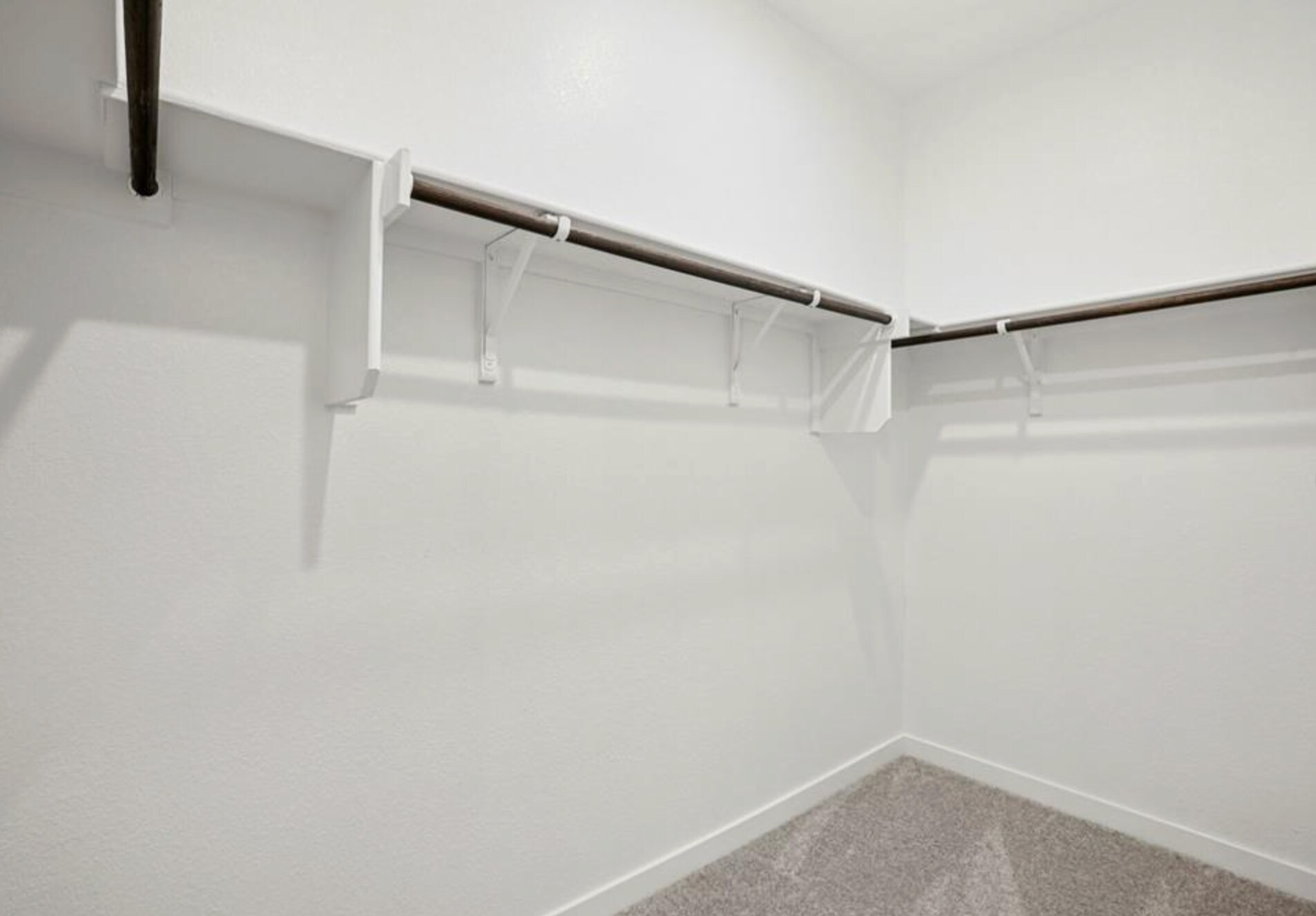 Building Photo - 113 Cutleaf Cv