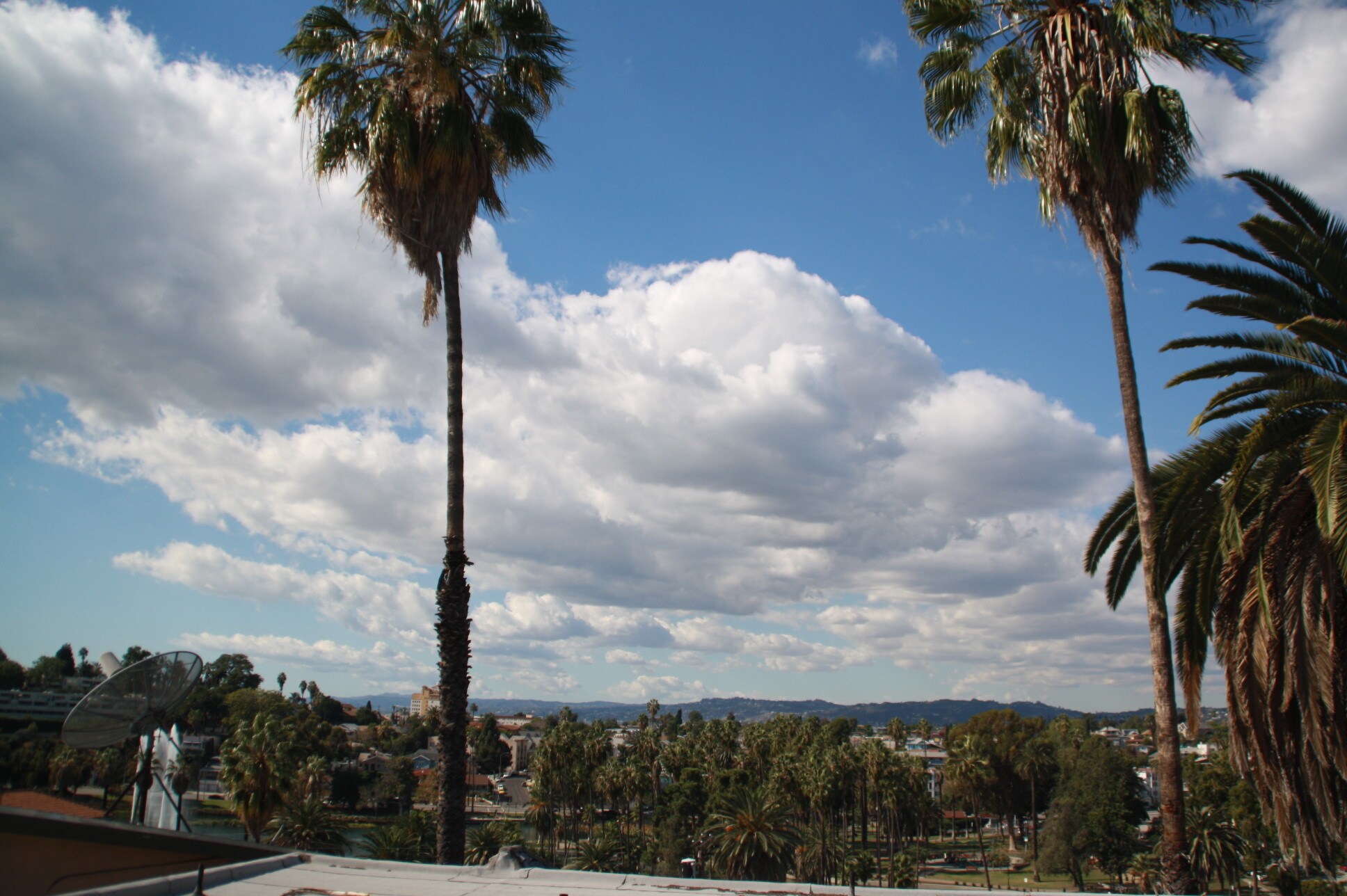 Building Photo - 1012 Laguna Ave