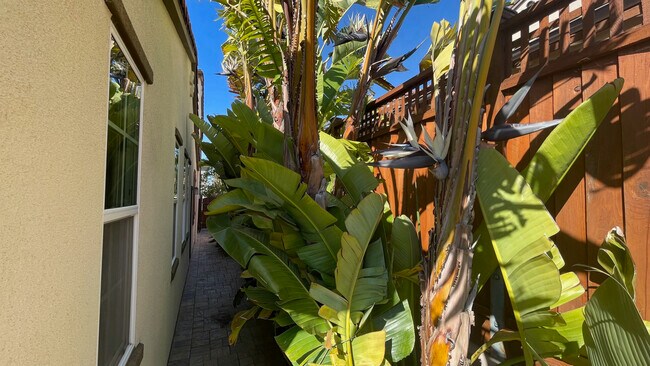 Right Side Yard #2 - 297 Drummond Dr