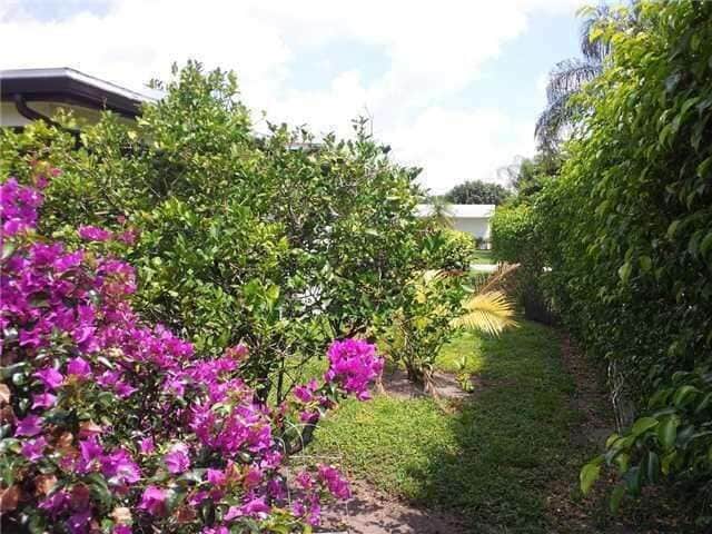 Building Photo - 6372 Winding Brooke Way