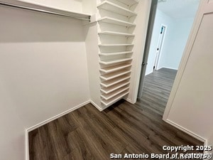 Building Photo - 7203 Shadow Ridge