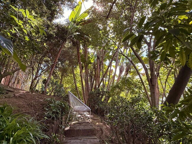 Building Photo - Furnished 1940s Beachwood Canyon Retreat with Treetop Deck + Creative Loft!