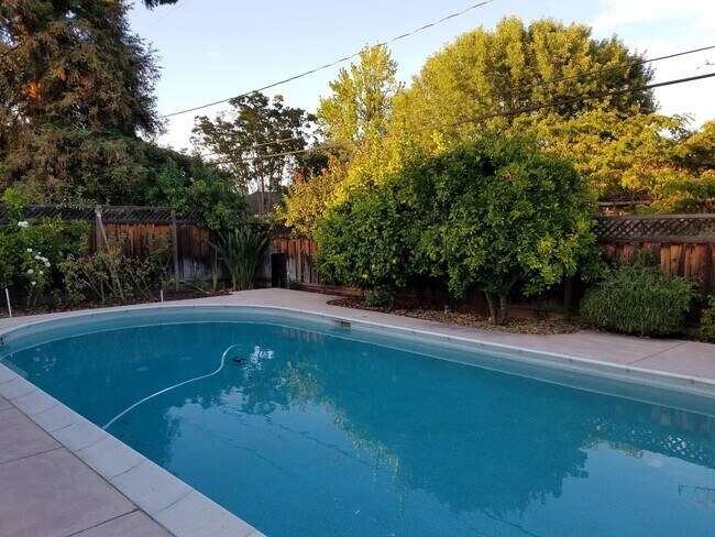 Building Photo - Elegant 4BR Retreat with Pool – Cupertino Schools, Near Apple Park