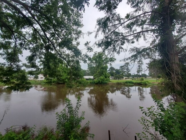 Building Photo - 353 Bayou Rd