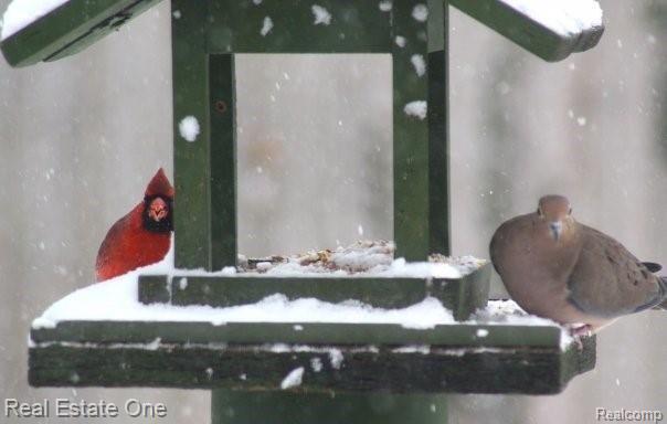 Building Photo - 5837 Folkstone Dr