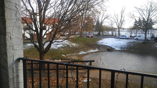 Building Photo - 450 Plum Creek Dr