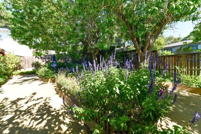 Building Photo - 4 Ramona Ave