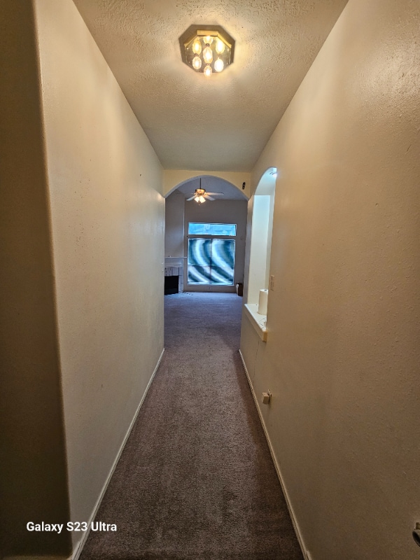 Building Photo - 12315 Wright Oaks Dr