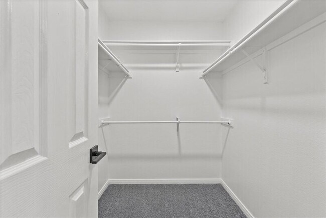 Building Photo - 2106 Roatan Calle