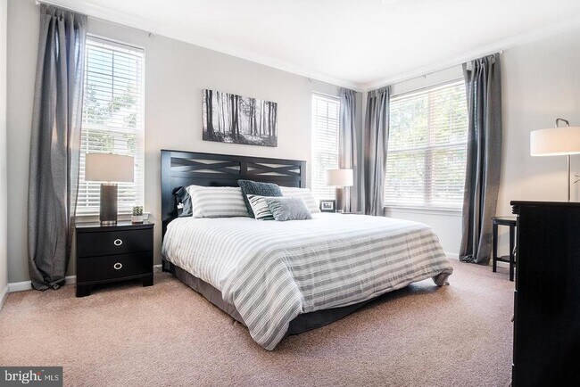 Building Photo - 923 Halifax Pl