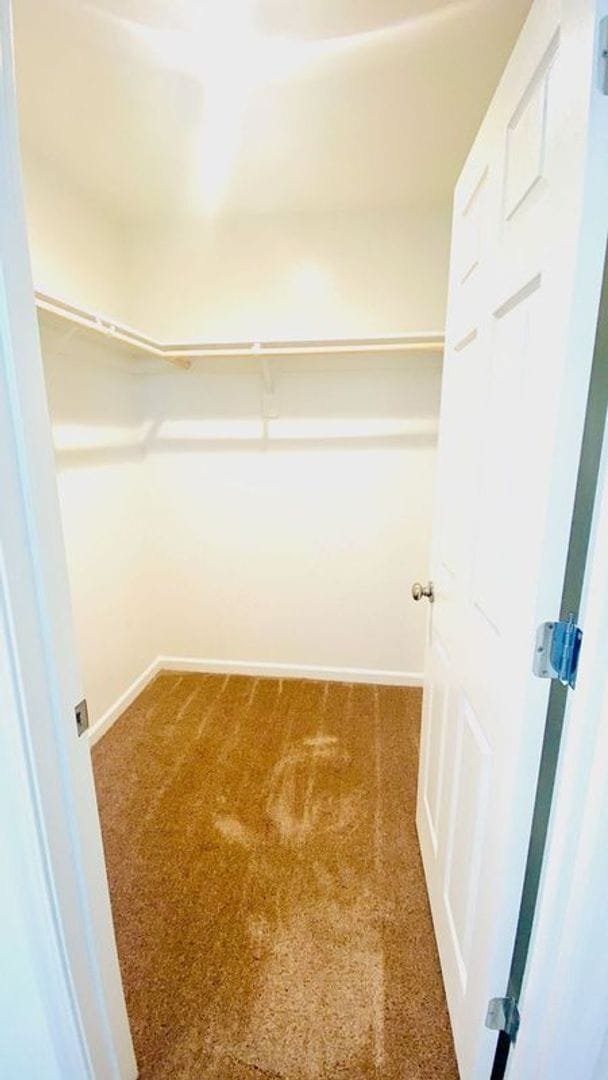 Building Photo - Beautiful Two Story Home in the Olivewood ...