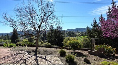 Building Photo - Fabulous Moraga 4bd+den/3ba Property with Stunning Views & Pool/Spa