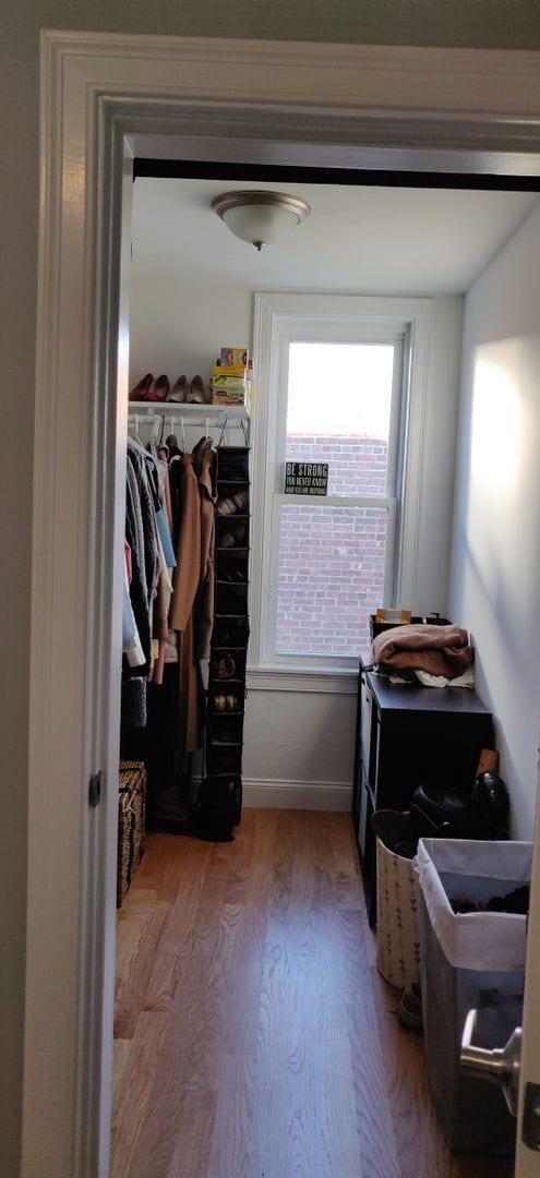 Building Photo - New Apartment in Allston. Eat-in Kitchen. High-End Appliances, Big Bedrooms, Lost of Closets, Lau...