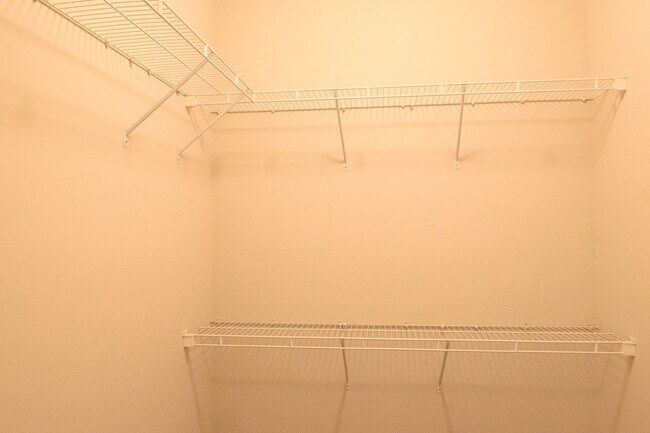 Building Photo - Main level living in Murfreesboro!